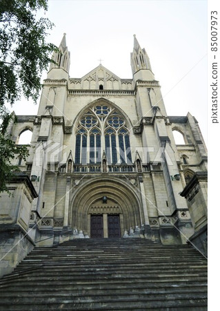 Dunedin with Scottish culture 85007973