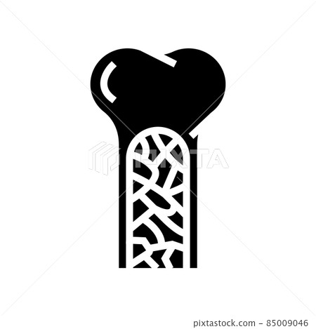 bone marrow glyph icon vector illustration 85009046