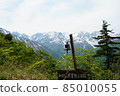 Shinshu, Northern Alps, Lake Aoki. I was able to meet on such a sunny day. 85010055