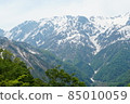 Shinshu, Northern Alps, Lake Aoki. I was able to meet on such a sunny day. 85010059