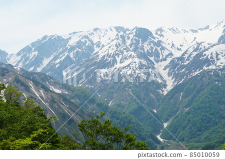 Shinshu, Northern Alps, Lake Aoki. I was able to meet on such a sunny day. Shinshu, Northern Alps, Lake Aoki. I was able to meet on such a sunny day. 85010059