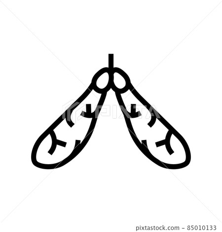 maple tree leaves line icon vector illustration maple tree leaves line icon vector illustration 85010133