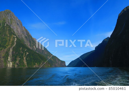 Milford Sound in Fiordland National Park 85010461