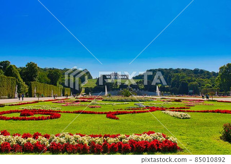 Flowers from Schönbrunn Palace to Gloriette 85010892
