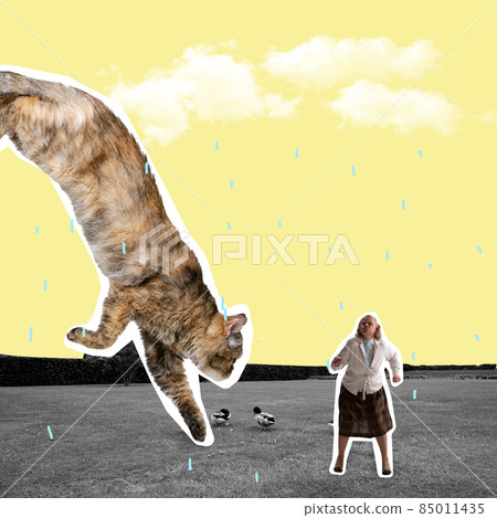 Contemporary art collage, modern design. Retro style. Minimalism. Huge domestic cat and middle-aged woman walking outdoors. Surrealism Contemporary art collage, modern design. Retro style. Minimalism. Huge domestic cat and middle-aged woman walking outdoors. Surrealism 85011435