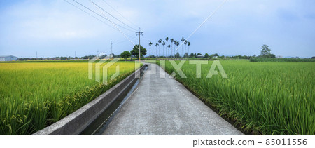 Villages, industrial roads, rice fields, villages, industrial roads, 田んぼ, Villages, industrial roads, Villages, industrial roads, rice fields, villages, industrial roads, 田んぼ, Villages, industrial roads, 85011556