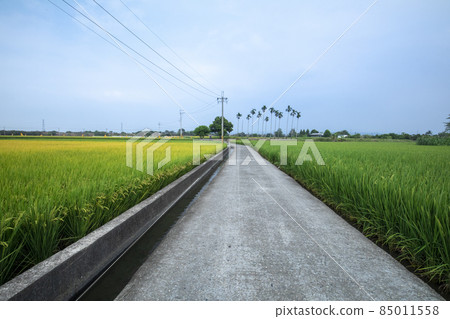 鄉村,產業道路,稻田,村、工業道路、田んぼ、Villages, industrial roads, 鄉村,產業道路,稻田,村、工業道路、田んぼ、Villages, industrial roads, 85011558
