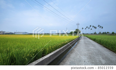 鄉村,產業道路,稻田,村、工業道路、田んぼ、Villages, industrial roads, 鄉村,產業道路,稻田,村、工業道路、田んぼ、Villages, industrial roads, 85011559