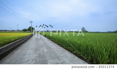 鄉村,產業道路,稻田,村、工業道路、田んぼ、Villages, industrial roads, 鄉村,產業道路,稻田,村、工業道路、田んぼ、Villages, industrial roads, 85011574