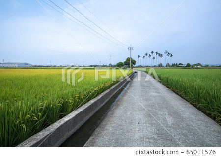 Villages, industrial roads, rice fields, villages, industrial roads, 田んぼ, Villages, industrial roads, 85011576