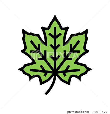 maple tree leaf color icon vector illustration 85011577