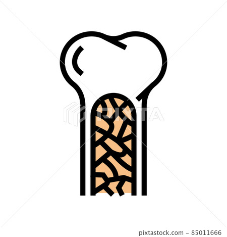 bone marrow color icon vector illustration 85011666