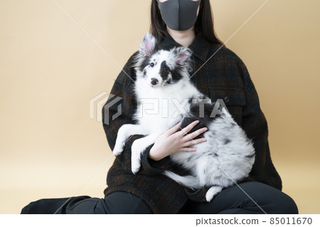 Sheltie hugged by a woman Sheltie hugged by a woman 85011670