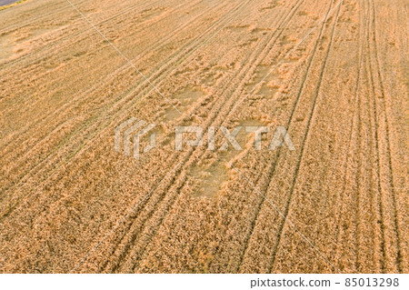 Aerial view of ripe farm field ready for harvesting with fallen down broken by wind wheat heads. Damaged crops and agriculture failure concept. Aerial view of ripe farm field ready for harvesting with fallen down broken by wind wheat heads. Damaged crops and agriculture failure concept. 85013298