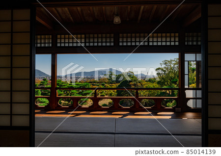 從毛利家的主要住所看到的夏季森庭[山口縣防府市] 85014139