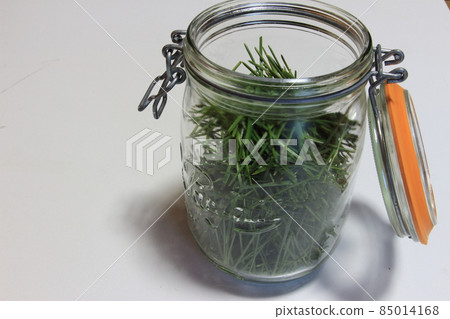 Handmade pine needle tea with pesticide-free pine 85014168