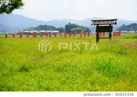 Fujiwara Palace Ruins / Fujiwara Kyo (Kashihara City, Nara Prefecture) 85015336