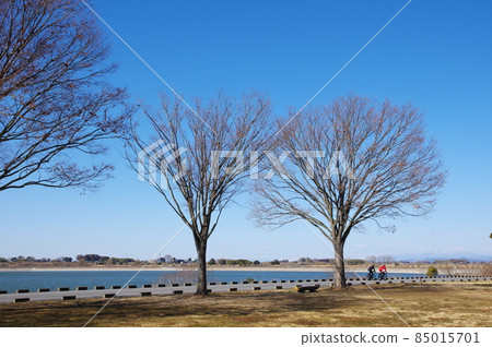 Watarase Retarding Ground (Tochigi City, Tochigi Prefecture) 85015701