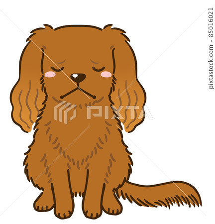 Depressed cavalier (ruby) Depressed cavalier (ruby) 85016021