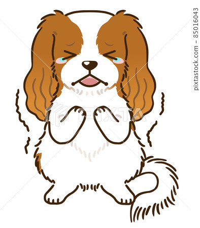 Frightened Cavalier (Blenheim) 85016043