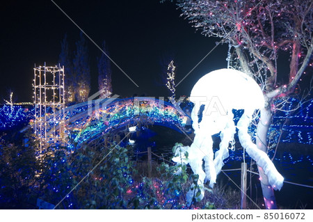 琵琶湖大塚2021彩燈“妖精與光之奇幻世界” 85016072