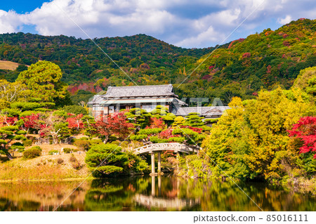 秋天的森庭園[山口縣防府市] 85016111