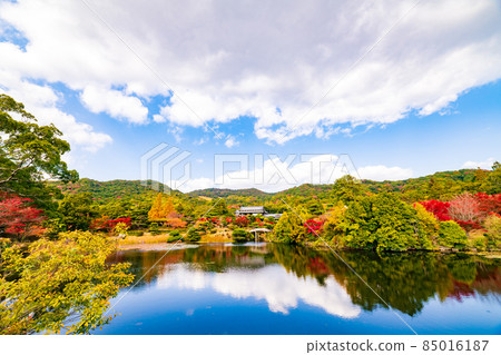 秋天的森庭園[山口縣防府市] 85016187