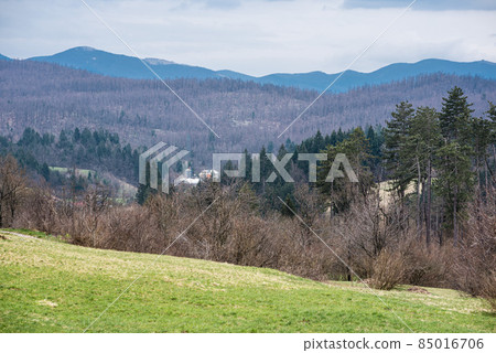 View over the mountains, hills and colorful forests of Predjama, Slovenia 85016706