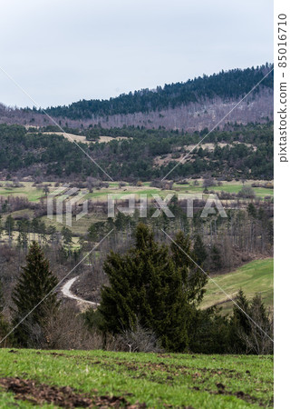 View over the mountains, hills and colorful forests of Predjama, Slovenia 85016710