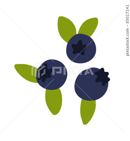 Blueberry. Doodle bilberry. Vector huckleberry food icon 85017141