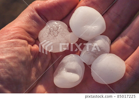 Hailstones the size of golf balls in a hand after severe storm Hailstones the size of golf balls in a hand after severe storm 85017225