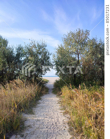 Sandy dune pathway to sea beach in summer Sandy dune pathway to sea beach in summer 85017231