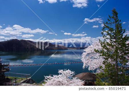 櫻花與釜房湖(宮城縣川崎町:釜房水庫) 櫻花與釜房湖(宮城縣川崎町:釜房水庫) 85019471