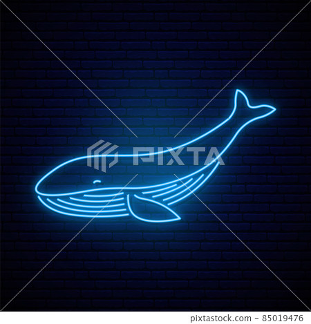 Whale neon sign. Whale neon sign. 85019476