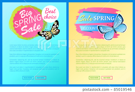 Discount Choice Spring Sale Label Poster Butterfly 85019546