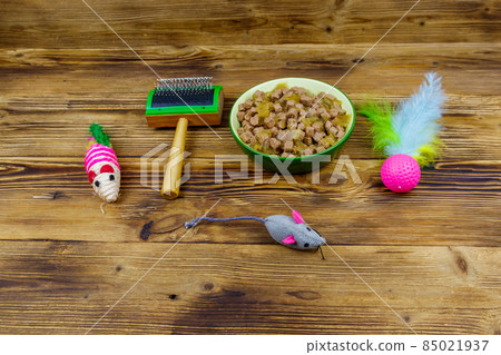 Canned cat food in bowl, cat toys and pet slicker brush on wooden background. Pet care concept Canned cat food in bowl, cat toys and pet slicker brush on wooden background. Pet care concept 85021937