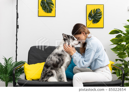 As a friendship and affection, the teen and the dog press their foreheads to each other while sitting on the sofa at home. Intelligent Border Collie Sheepdog. Modern interior design of the apartment. As a friendship and affection, the teen and the dog press their foreheads to each other while sitting on the sofa at home. Intelligent Border Collie Sheepdog. Modern interior design of the apartment. 85022654