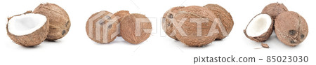Collection of coconut on a white background cutout 85023030