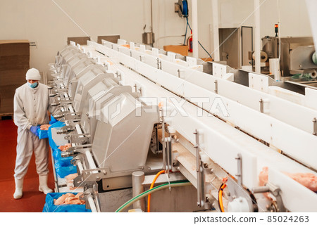 Chicken fillet production line . Factory for the production of food from meat.Modern poultry processing plant.Conveyor Belt Food.The meat factory. Chicken fillet production line . Factory for the production of food from meat.Modern poultry processing plant.Conveyor Belt Food.The meat factory. 85024263