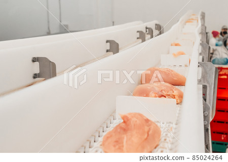 Modern poultry processing plant.Factory for the production of food from meat.Conveyor Belt Food.Automated production line in modern food factory. Modern poultry processing plant.Factory for the production of food from meat.Conveyor Belt Food.Automated production line in modern food factory. 85024264