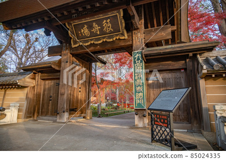 Jōshinji Temple Main Gate 85024335