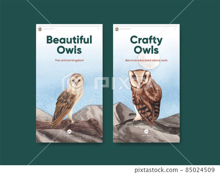 Instagram template with owl bird concept,watercolor style Instagram template with owl bird concept,watercolor style 85024509