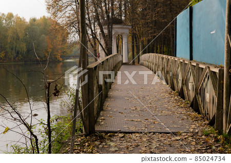 Autumn forest bridge nature foliage, orange beautiful scenic creek light, beauty plant. Brown scenery, green germany 85024734