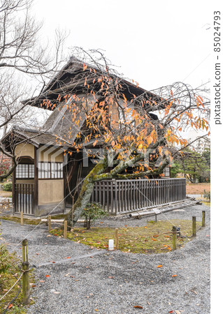 京都深秋侗園博閣 85024793