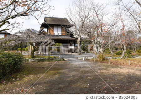 Kyoto Late Autumn Wataruen Garden Bokakaku 85024805