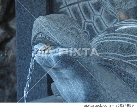 參拜神社的圖片 85024999