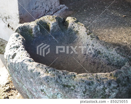 參拜神社的圖片 參拜神社的圖片 85025055