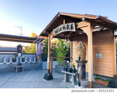 Shibare Jizo in Rinsenji, Myogadani, Tokyo 85025201