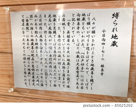 Shibare Jizo in Rinsenji, Myogadani, Tokyo 85025202