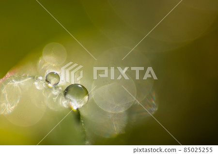 Modeling of light and polka dots Modeling of light and polka dots 85025255